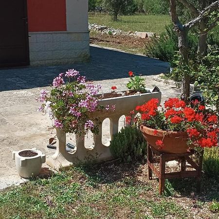 Casa Alle Vigne بولينيانو آ ماري المظهر الخارجي الصورة