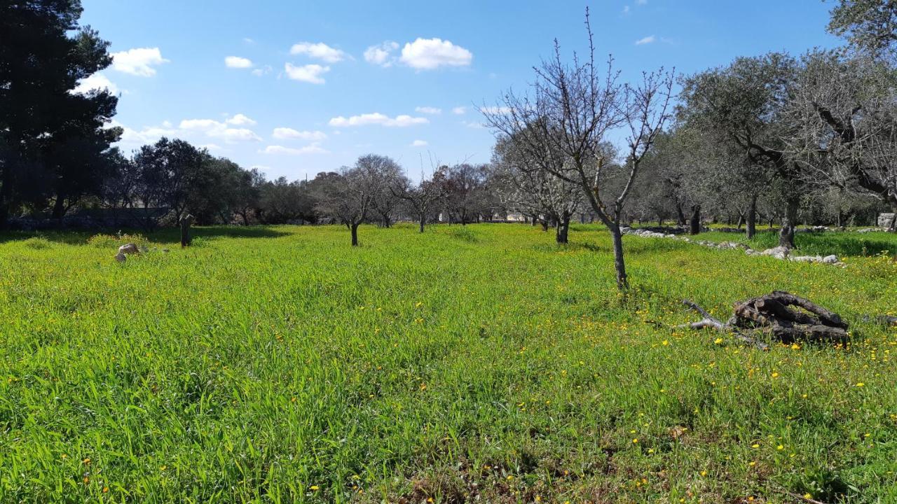 Casa Alle Vigne بولينيانو آ ماري المظهر الخارجي الصورة