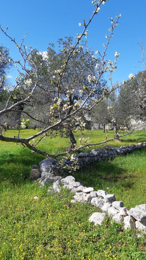 Casa Alle Vigne بولينيانو آ ماري المظهر الخارجي الصورة
