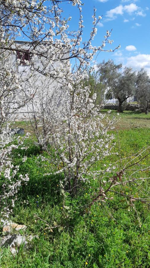 Casa Alle Vigne بولينيانو آ ماري المظهر الخارجي الصورة