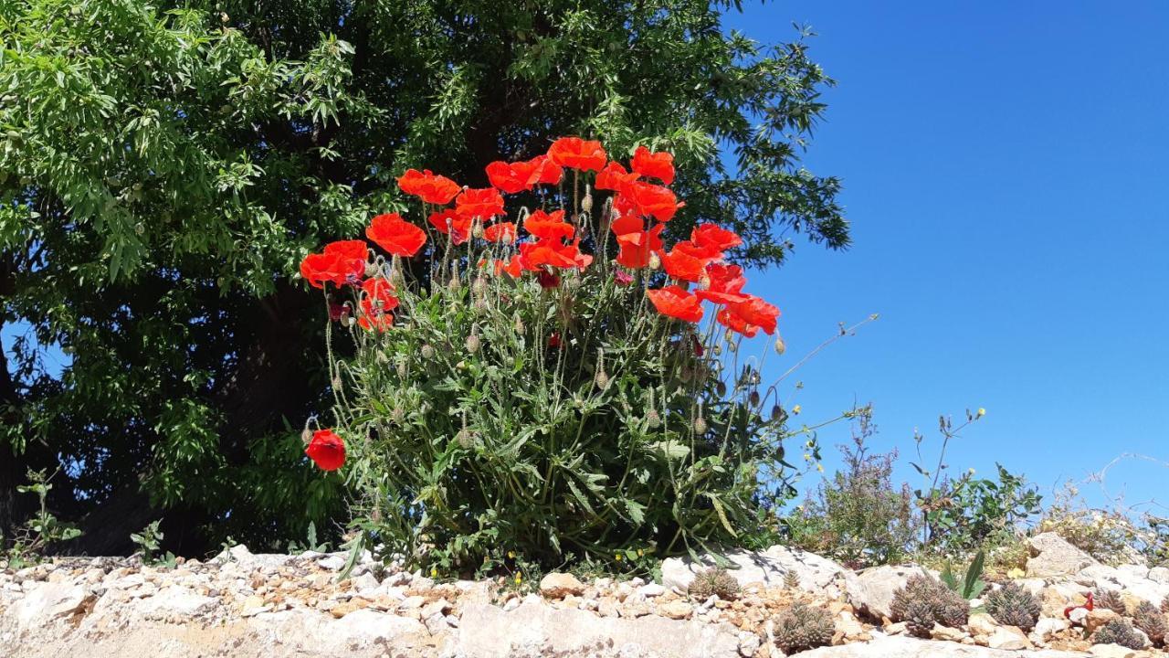 Casa Alle Vigne بولينيانو آ ماري المظهر الخارجي الصورة
