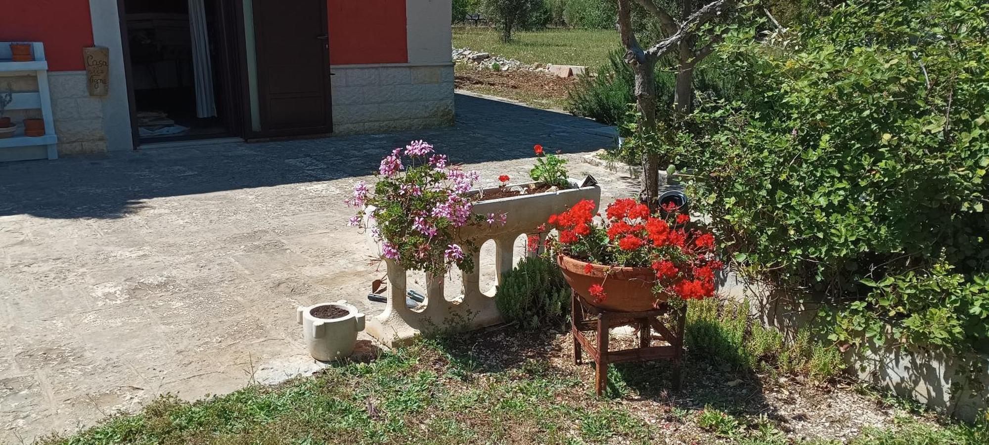 Casa Alle Vigne بولينيانو آ ماري المظهر الخارجي الصورة