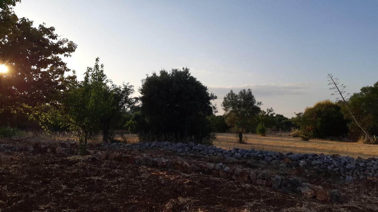 Casa Alle Vigne بولينيانو آ ماري المظهر الخارجي الصورة