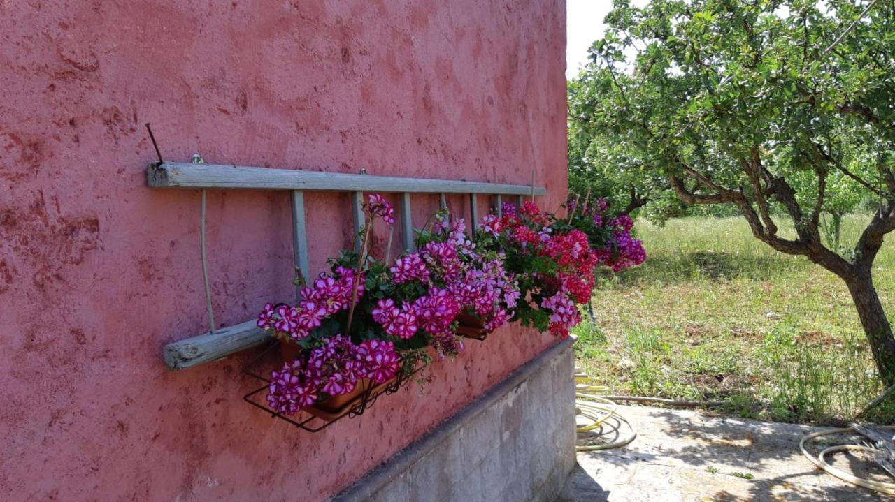 Casa Alle Vigne بولينيانو آ ماري المظهر الخارجي الصورة